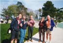 Ice Creams in Plymouth